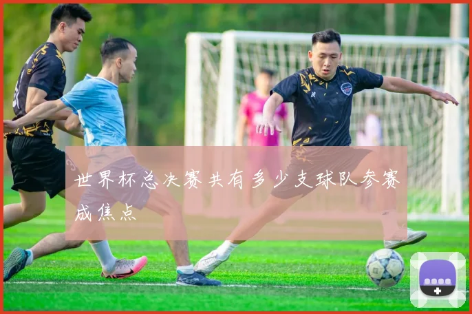世界杯总决赛共有多少支球队参赛成焦点