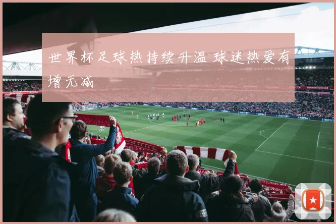 世界杯足球热持续升温 球迷热爱有增无减