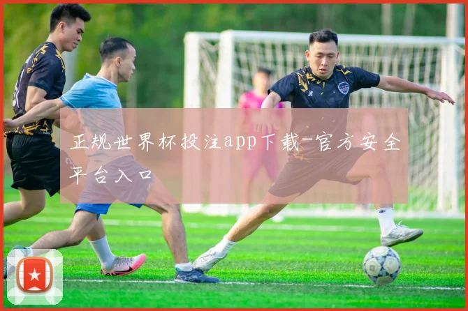正规世界杯投注app下载-官方安全平台入口