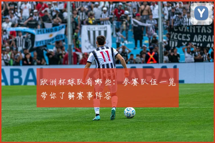 欧洲杯球队有哪些:参赛队伍一览带你了解赛事阵容