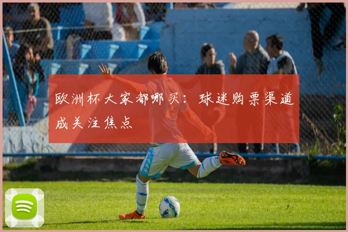 欧洲杯大家都哪买：球迷购票渠道成关注焦点