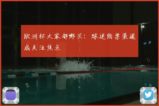 欧洲杯大家都哪买：球迷购票渠道成关注焦点