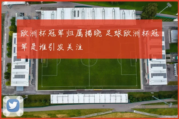 欧洲杯冠军归属揭晓 足球欧洲杯冠军是谁引发关注