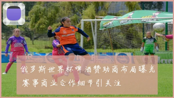 俄罗斯世界杯啤酒赞助商布局曝光 赛事商业合作细节引关注
