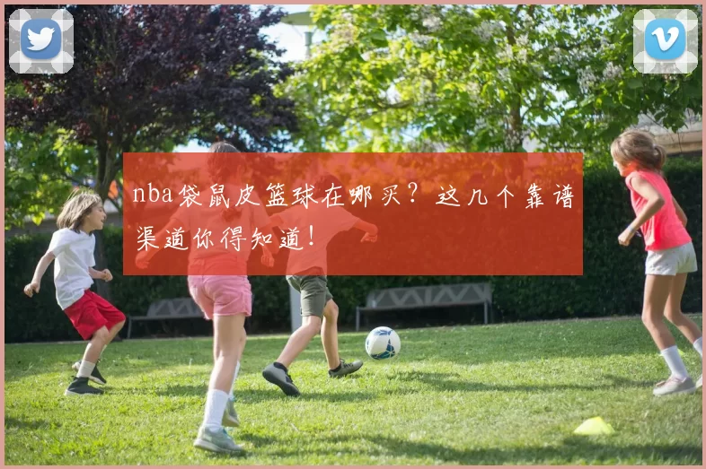 nba袋鼠皮篮球在哪买？这几个靠谱渠道你得知道！